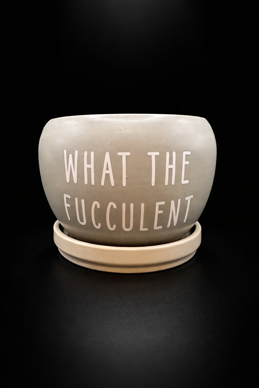 "What The Fucculent" 4" Grey Planter Pot